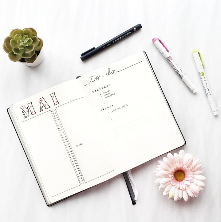 bullet journal monthly log
